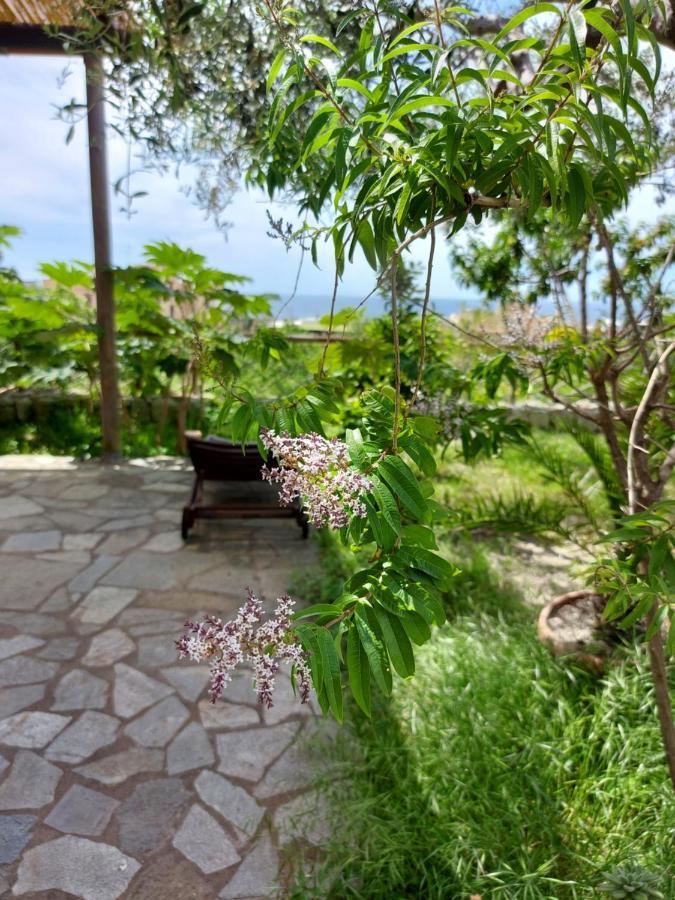 Villa Symphony Sea View Форио Экстерьер фото